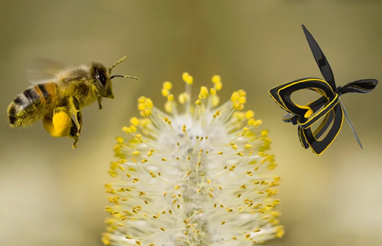 L'abeille artificielle - Élevage et Cultures