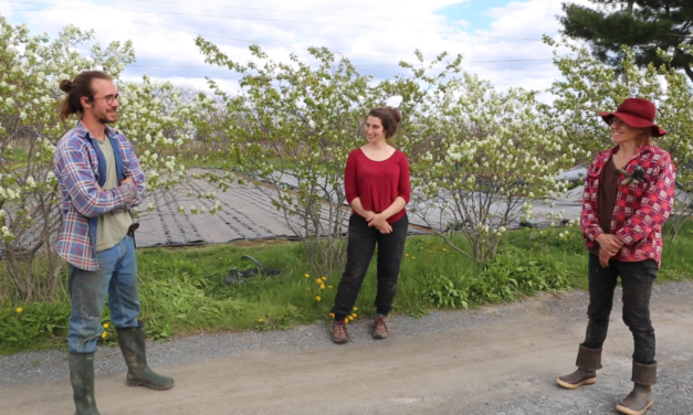 Québec Solidaire organise une corvée solidaire aux Jardins de la Grelinette