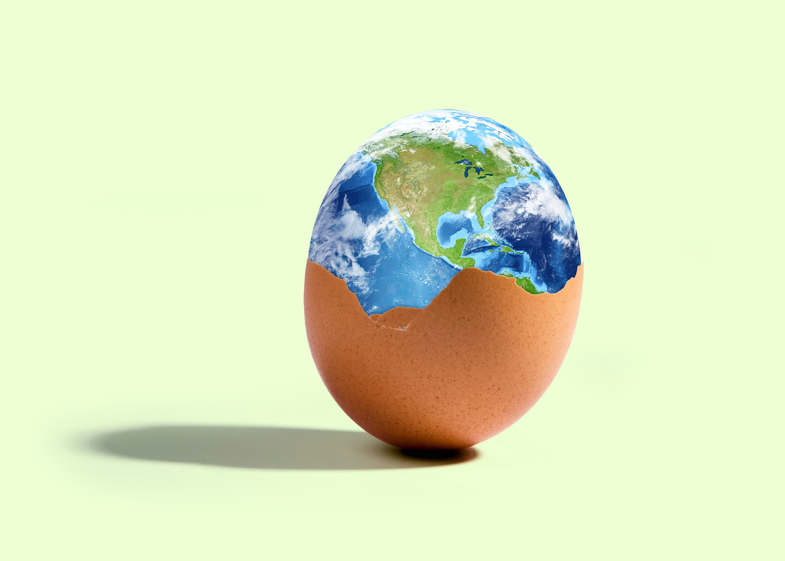 Les œufs durables