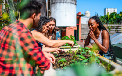Les avantages de l’agriculture urbaine : cultiver sa propre nourriture en ville