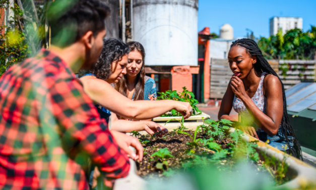Les avantages de l’agriculture urbaine : cultiver sa propre nourriture en ville